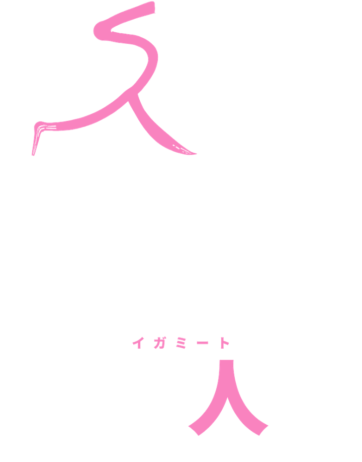 伊賀人脈（イガミート）